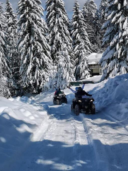 Vila Florilor Buşteni Zewnętrze zdjęcie