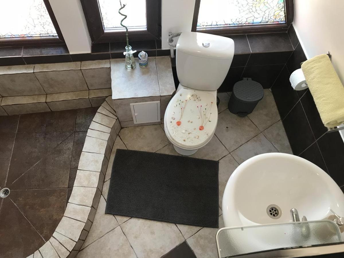 Vila Florilor Buşteni Zewnętrze zdjęcie